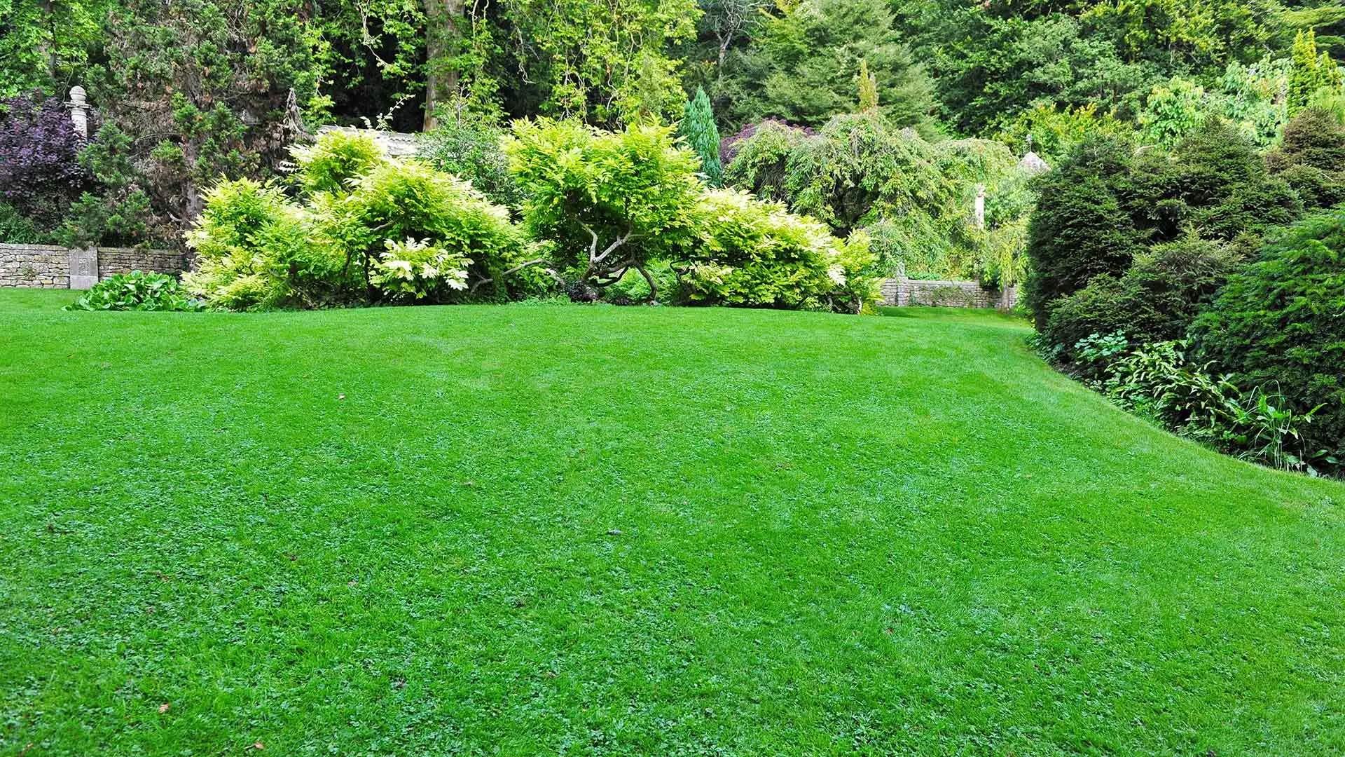 Well maintained lawn and landscaping at residential property.