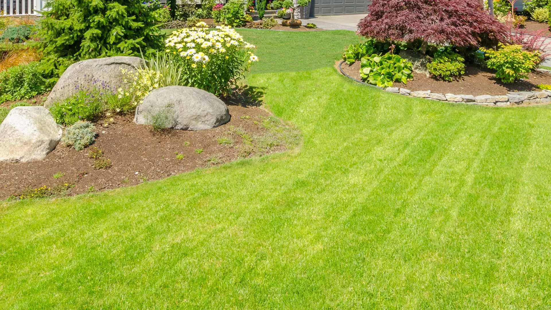 Bright green lawn with fertilization and weed control treatments in Cascade, MI.