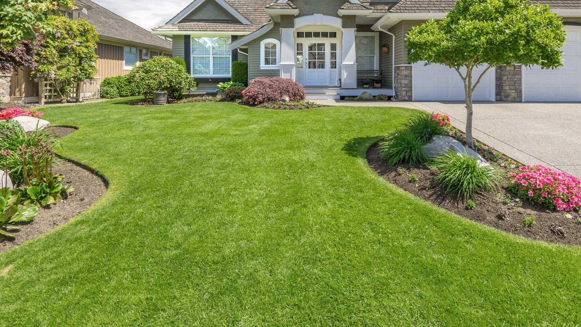 Healthy, fertilized home lawn in Ada, MI.