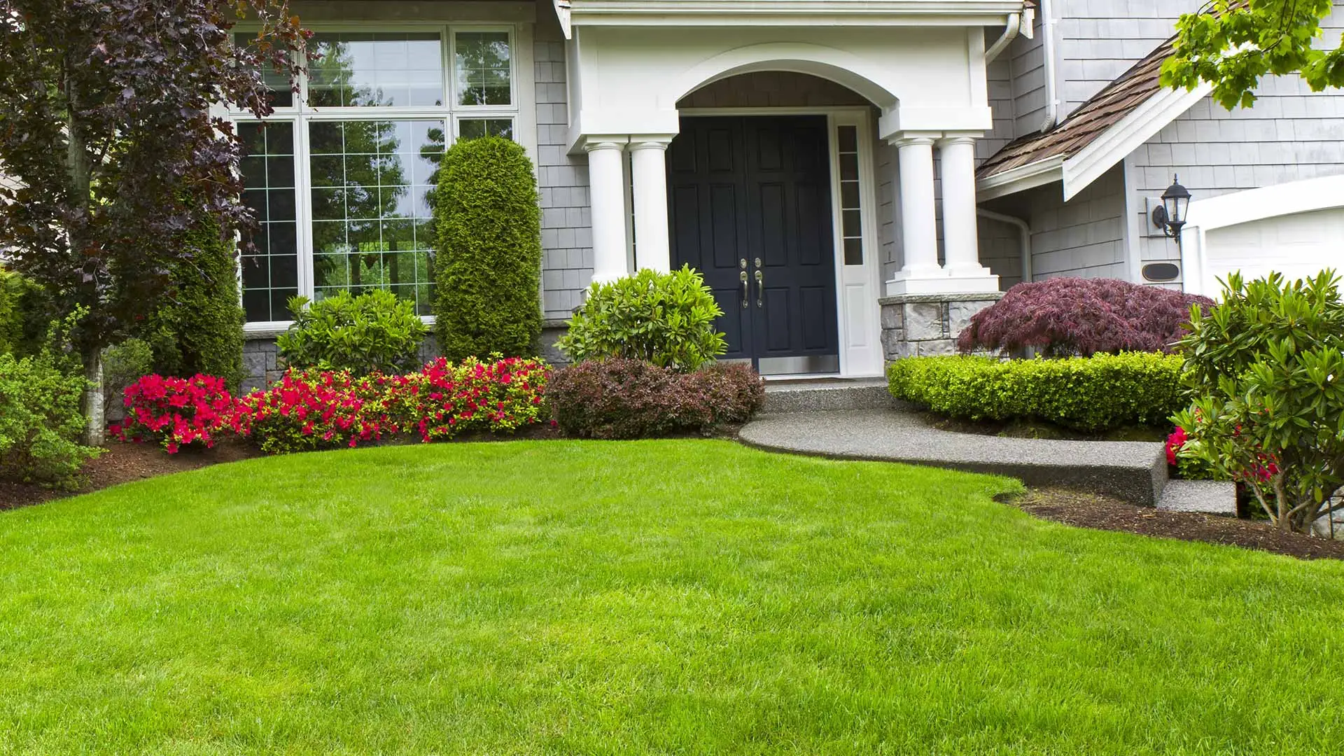 Healthy home lawn and landscape bed in East Grand Rapids, MI.