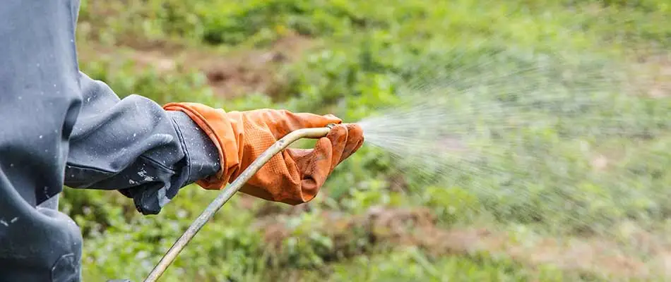 Weed control treatment being sprayed on a lawn near Ada, MI.