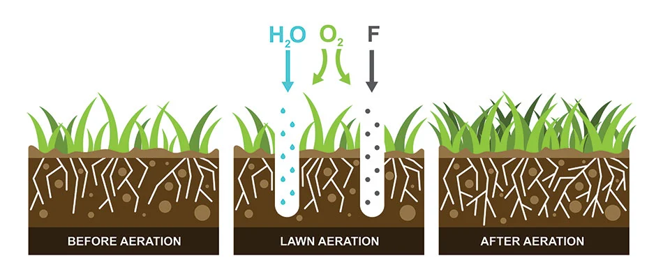 MI lawn being aerated for improved growth.