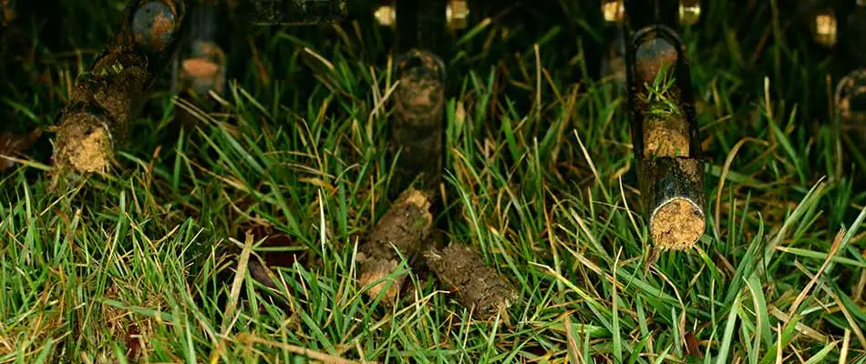 Lawn core aeration performed on a Cascade, MI property.