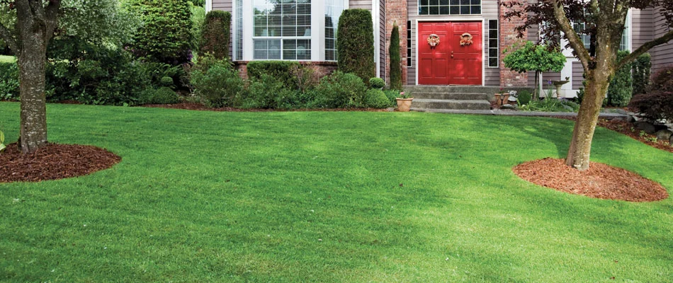 A lawn in  Lowell, MI that receives regular lawn fertilization treatments. .