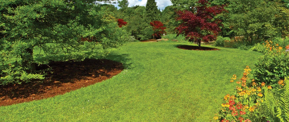 Fertilized and well maintained home lawn in Lowell, MI.