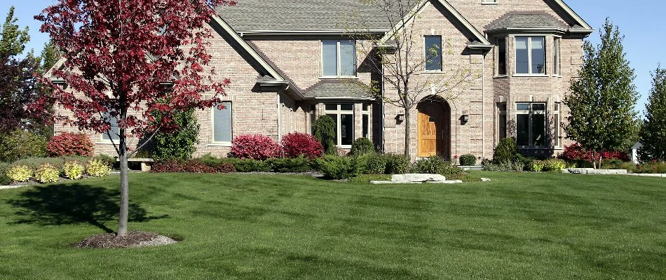 Dark green front lawn in Caledonia, MI, with plants and a house.