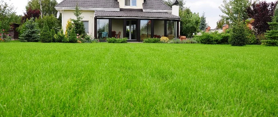 Fertilized green lawn with a house in Grand Rapids Township, MI.